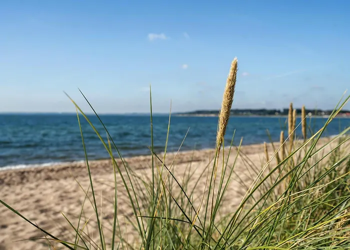 Feelings Of Wellness At Hejsager * Haderslev